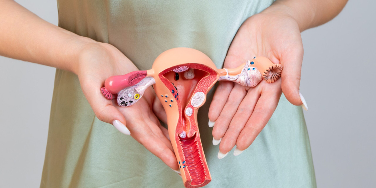 Cosmetic Gynaecology in Dubai: Procedures, Safety, and Results