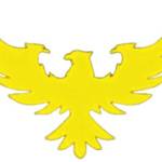 advisible technologies Profile Picture