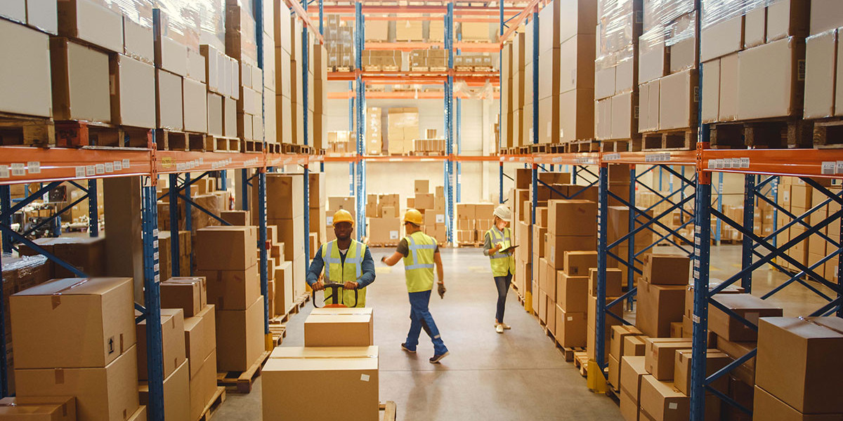 Best 3PL Services in India for Efficient Logistics Solutions