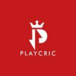 Playcric News Profile Picture