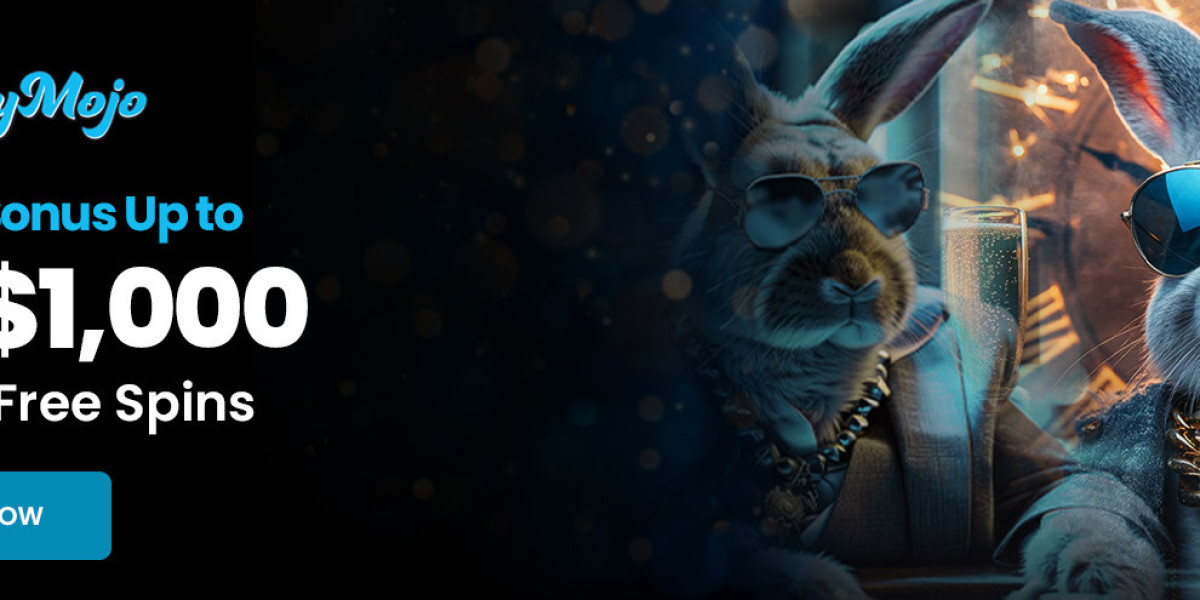 Playmojo Casino: How to Choose a Trustworthy Online Entertainment Platform in New Zealand