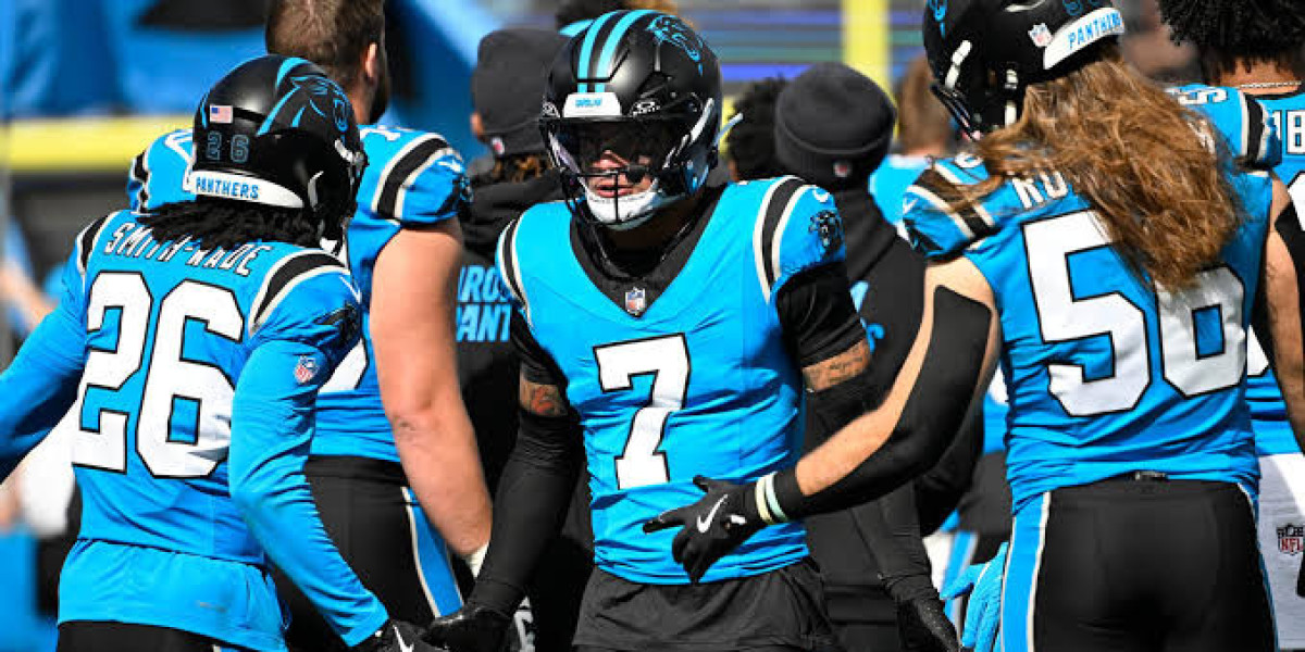 Panthers vs Saints: Defensive Preview