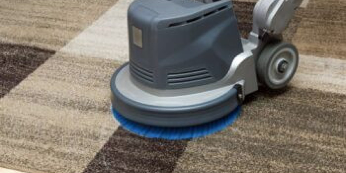 Carpet Cleaning Services Supporting Homes Beyond Everyday Vacuuming